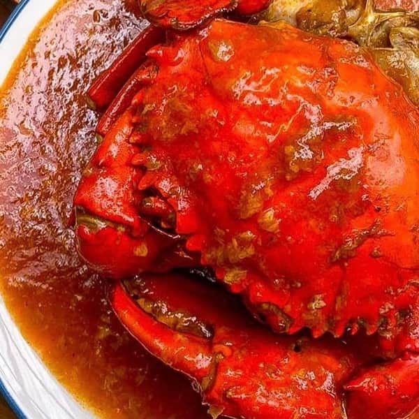 Resep Kepiting Saus Tiram Ala Restoran Bumbu Cara Memasak Kepiting Saus Tiram Sederhana Ala Rumahan Askcaraa